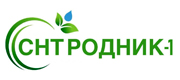 Родник-1
